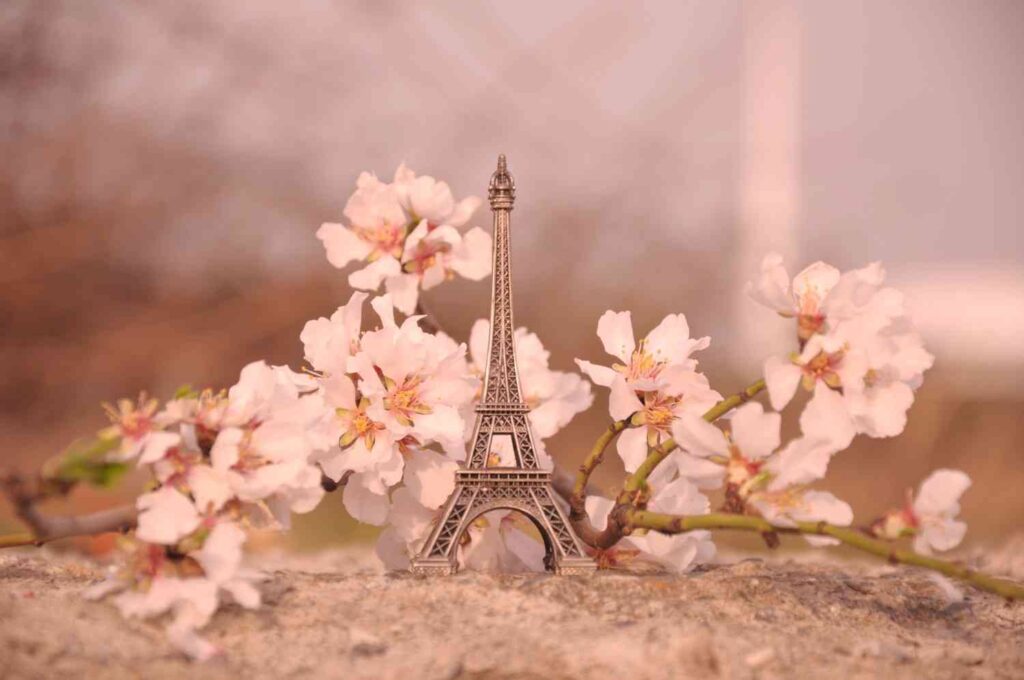Learn French Online